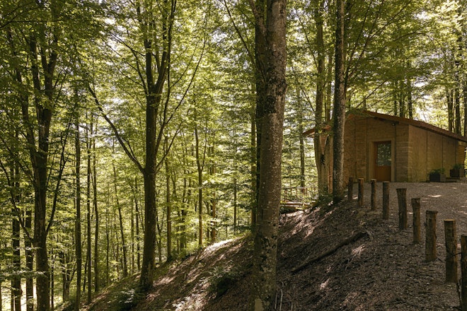 Loft In The Forest - Exterior