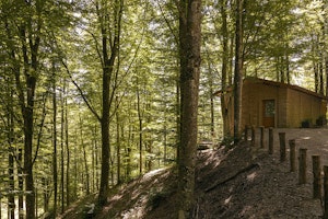 Loft In The Forest - Exterior