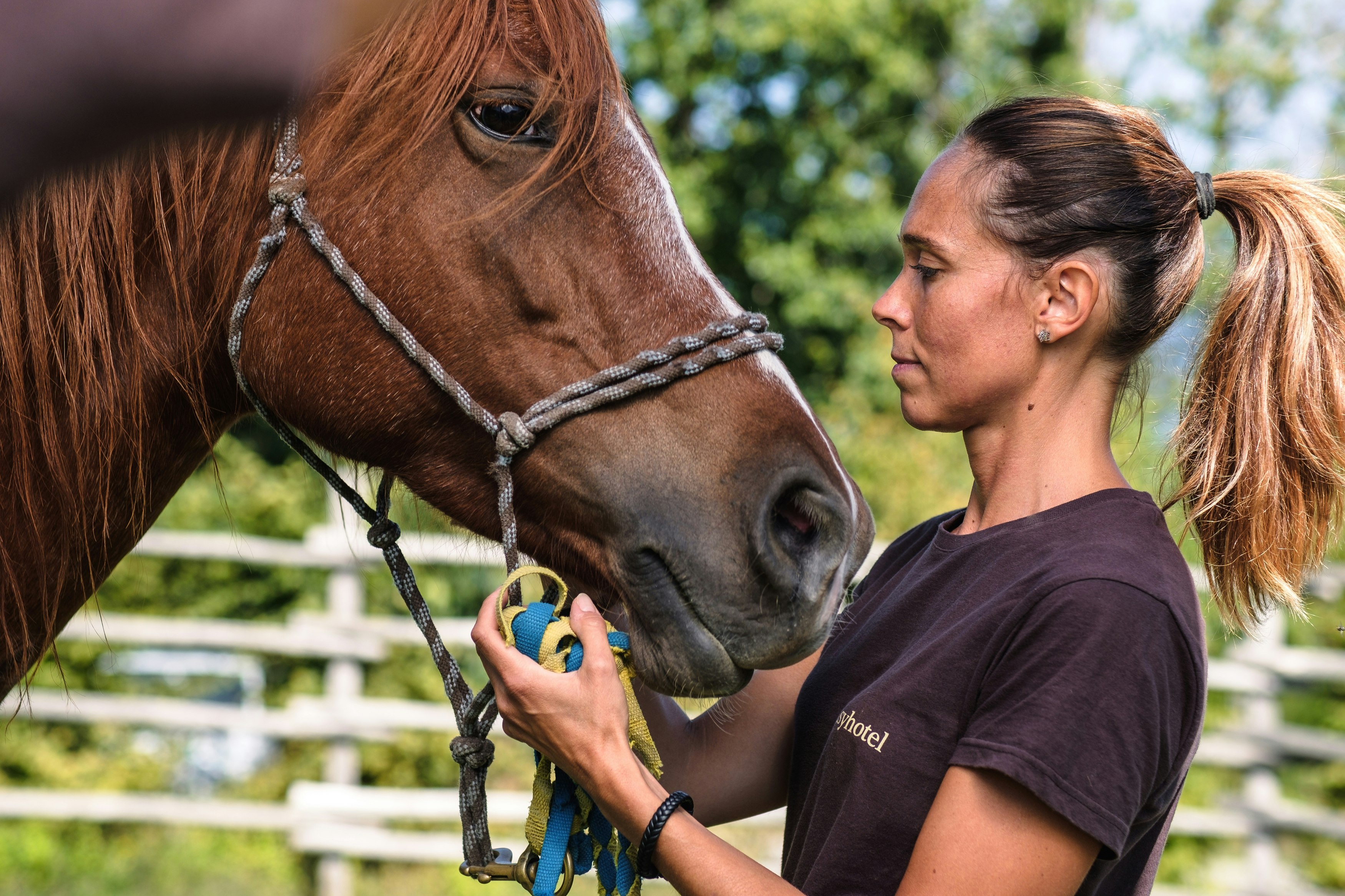 Horseback Riding Experience