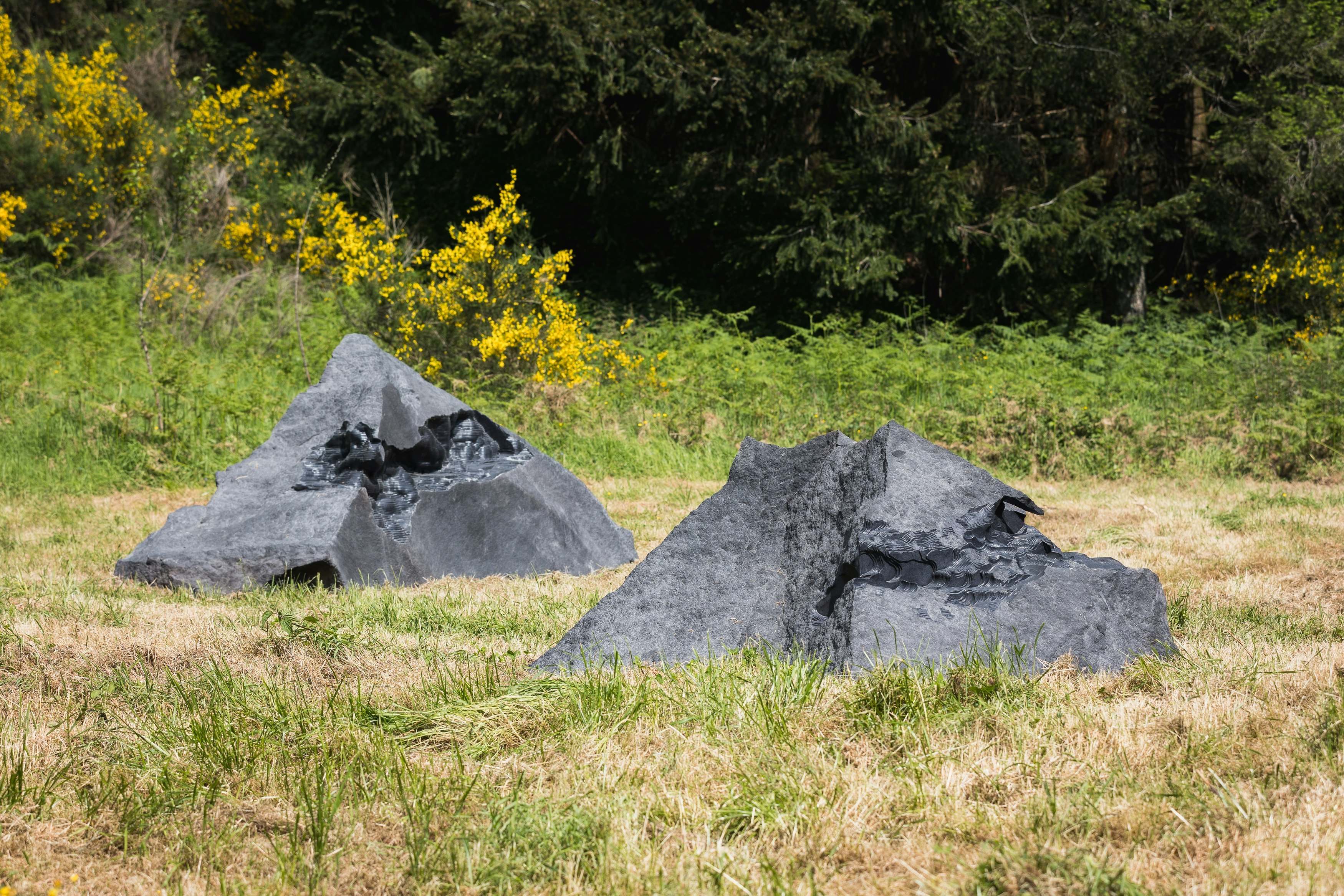 Oasyhotel Contemporary Art