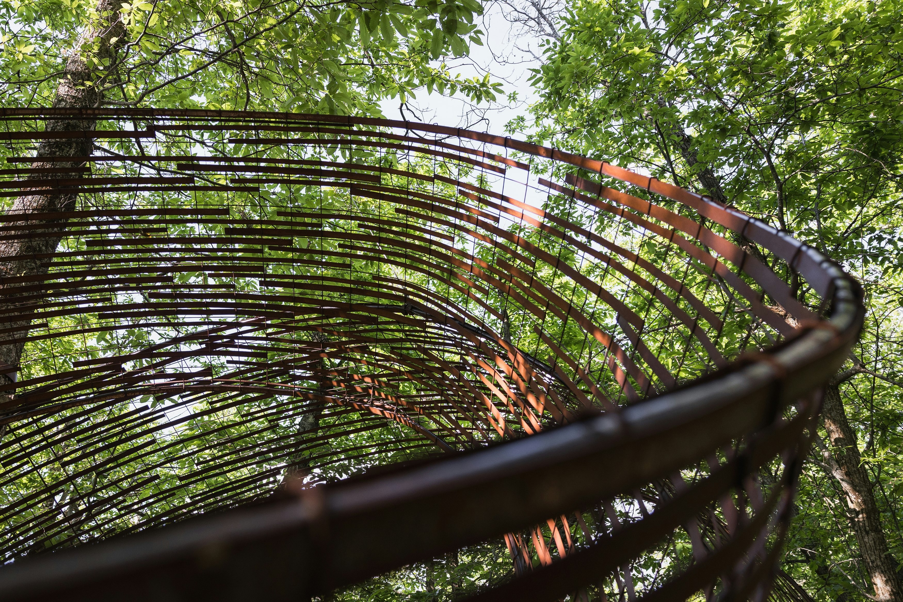 Oasyhotel Contemporary Art