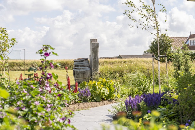 The Garden