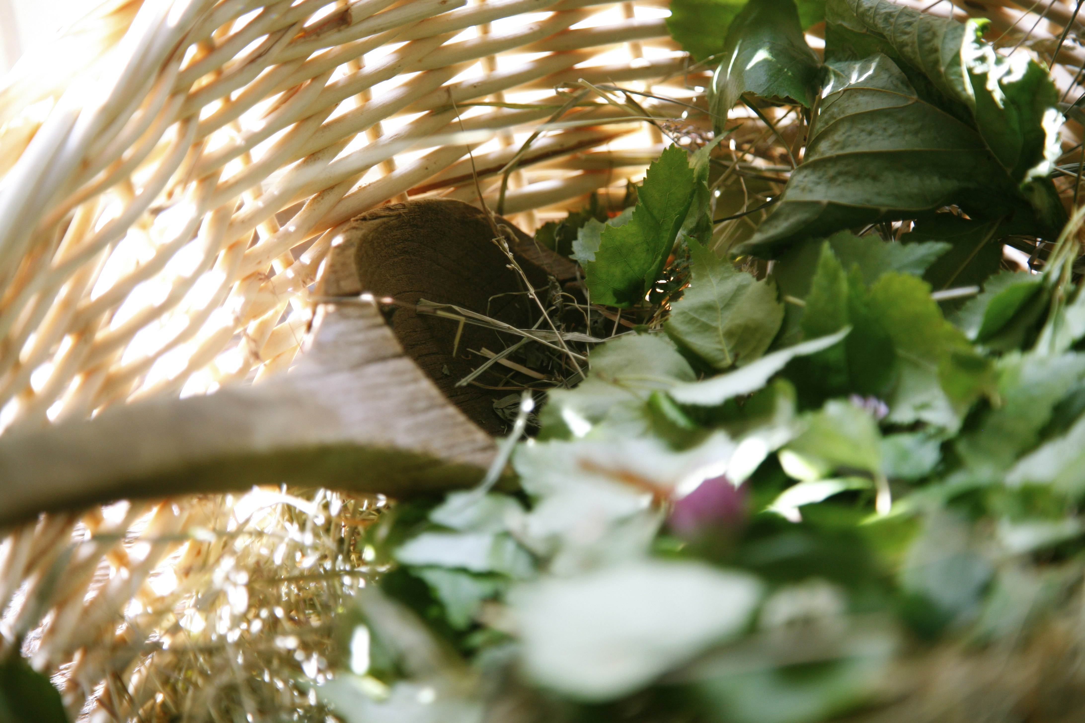 Muhu haybath at Pädaste SPA