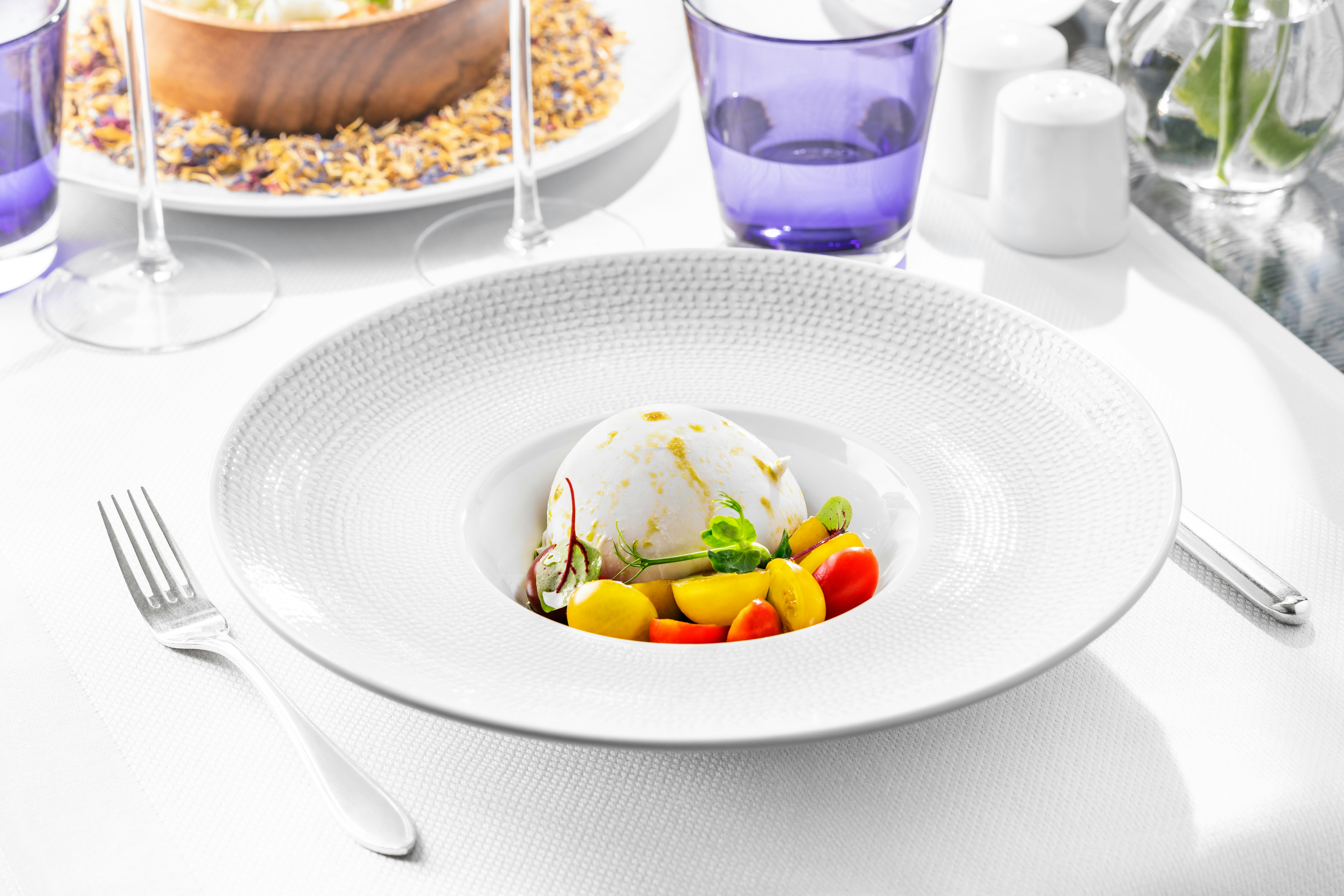 Terraco Bougainvillea