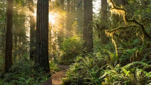 Hiking
