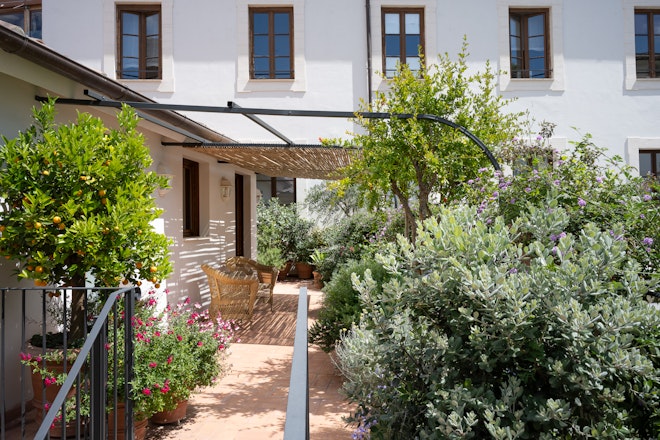 Terrace Suite - Terrace