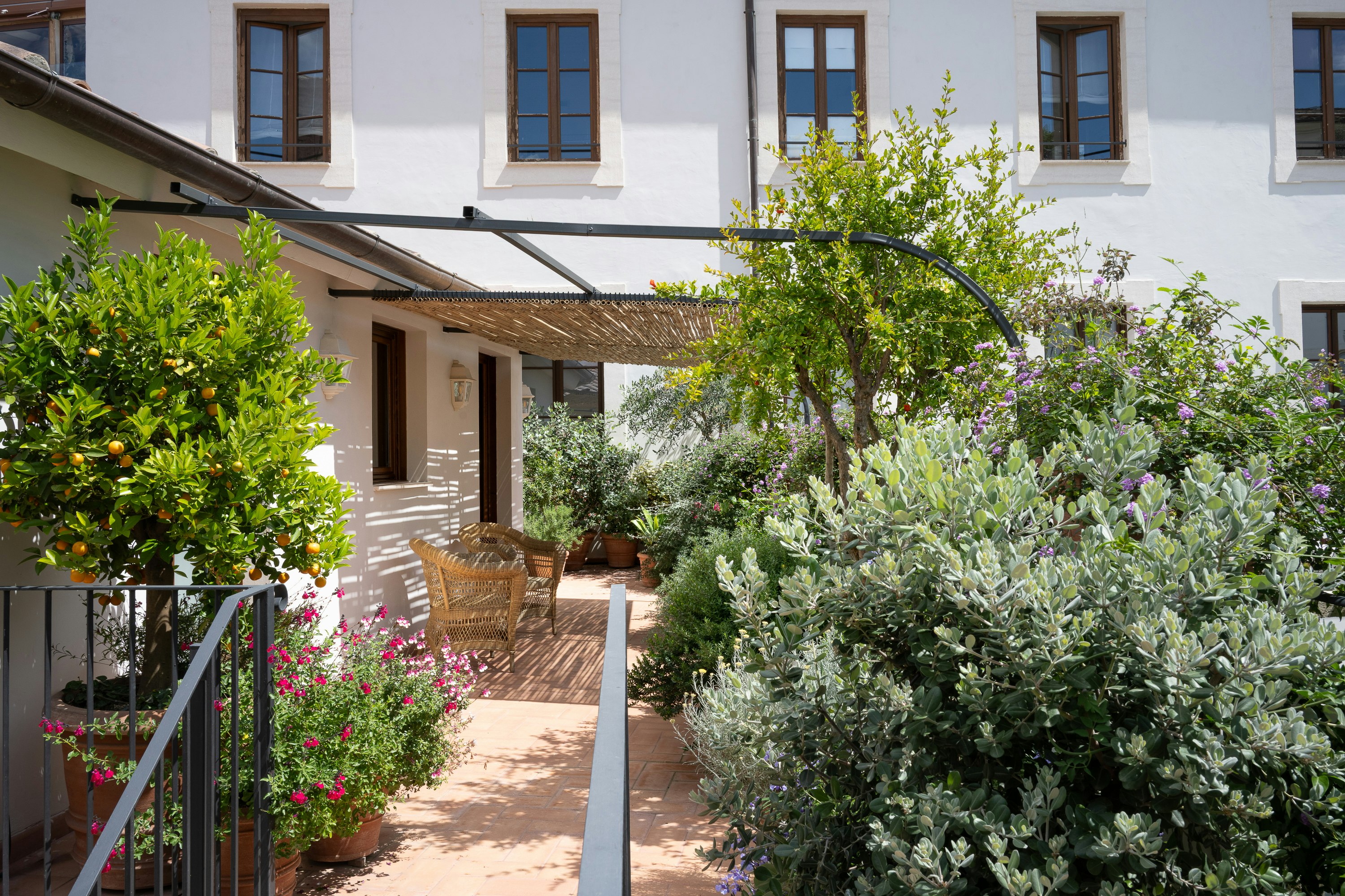 Terrace Suite - Terrace