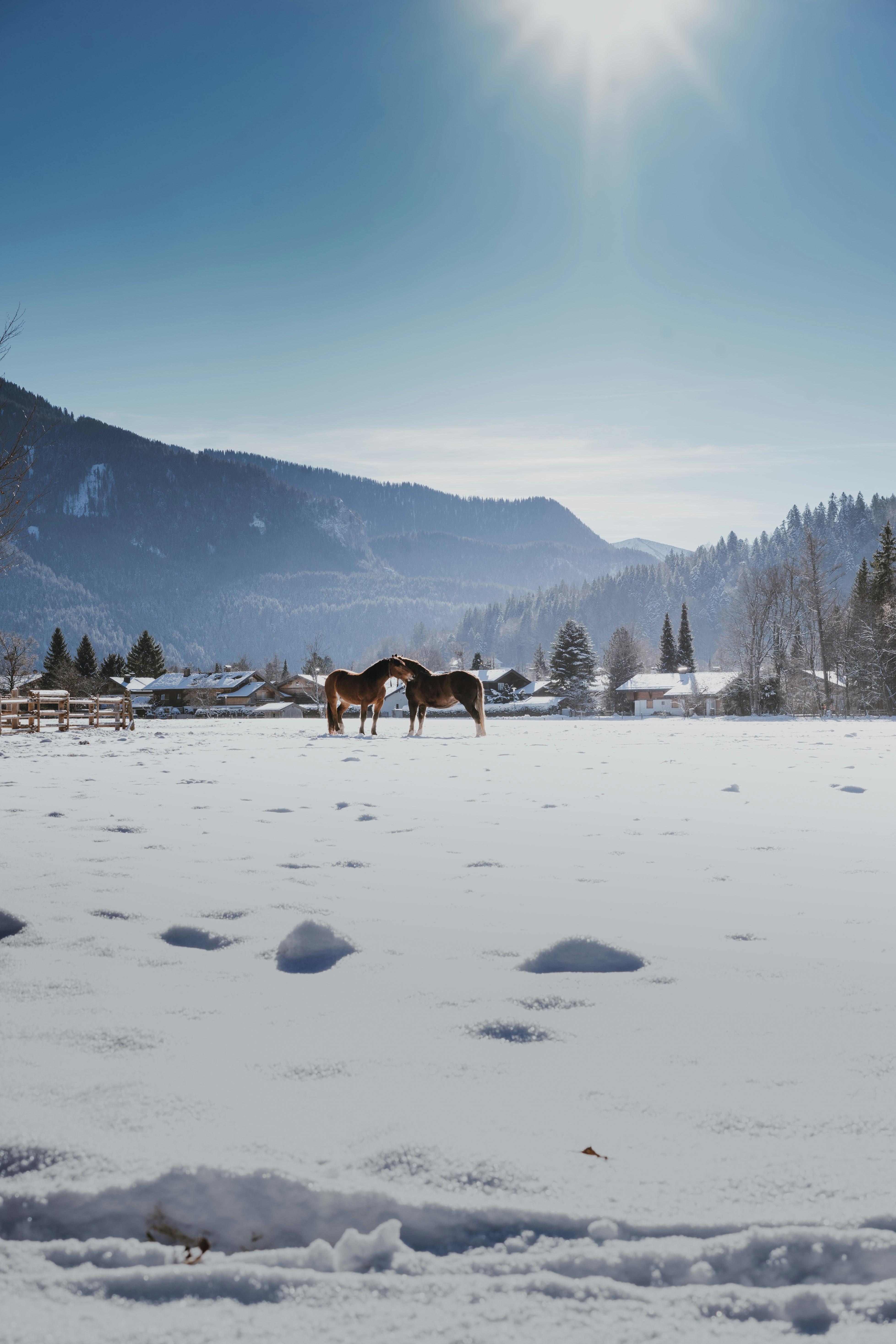 Hotel Park in Winter