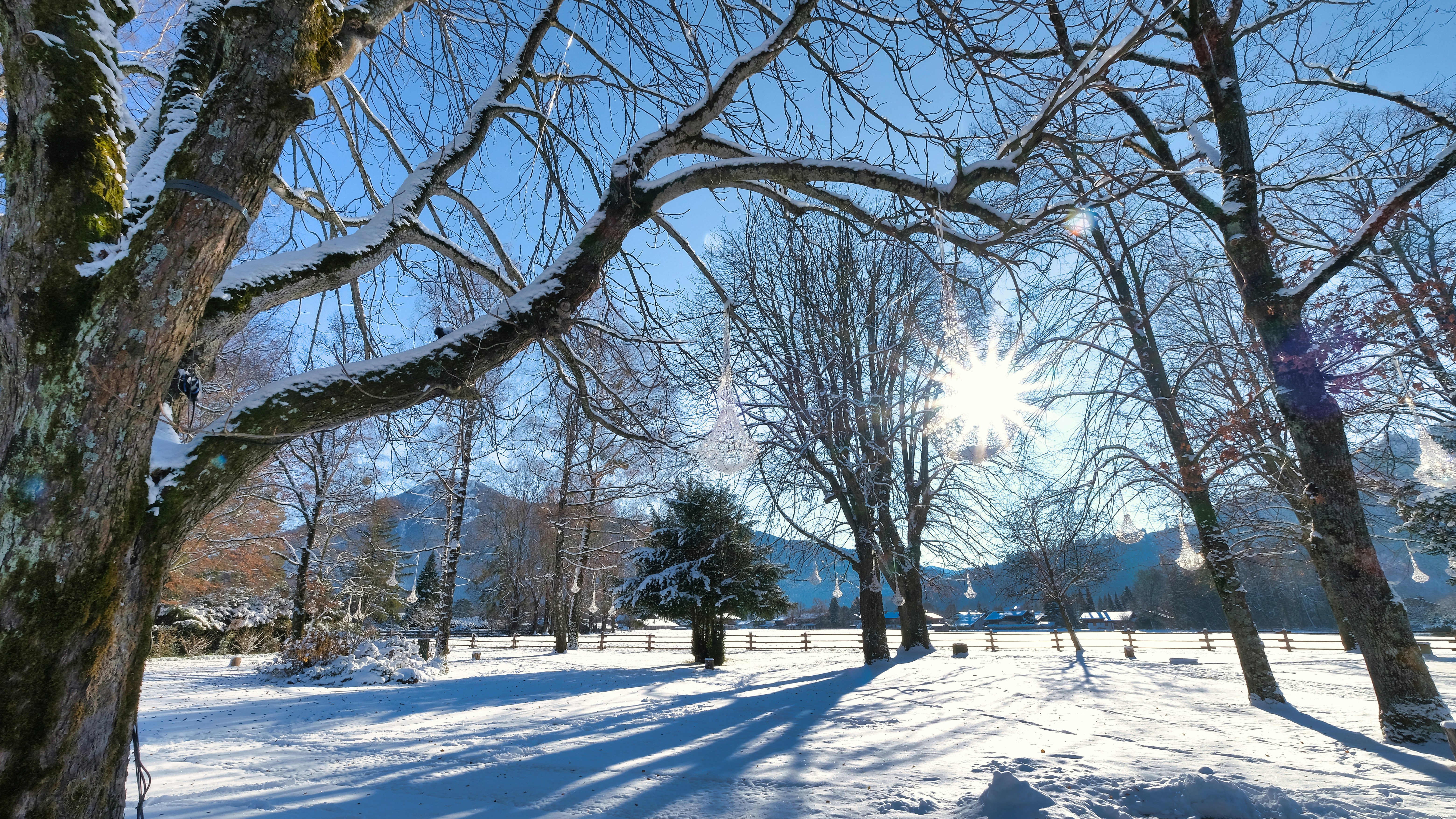 Hotel Park in Winter