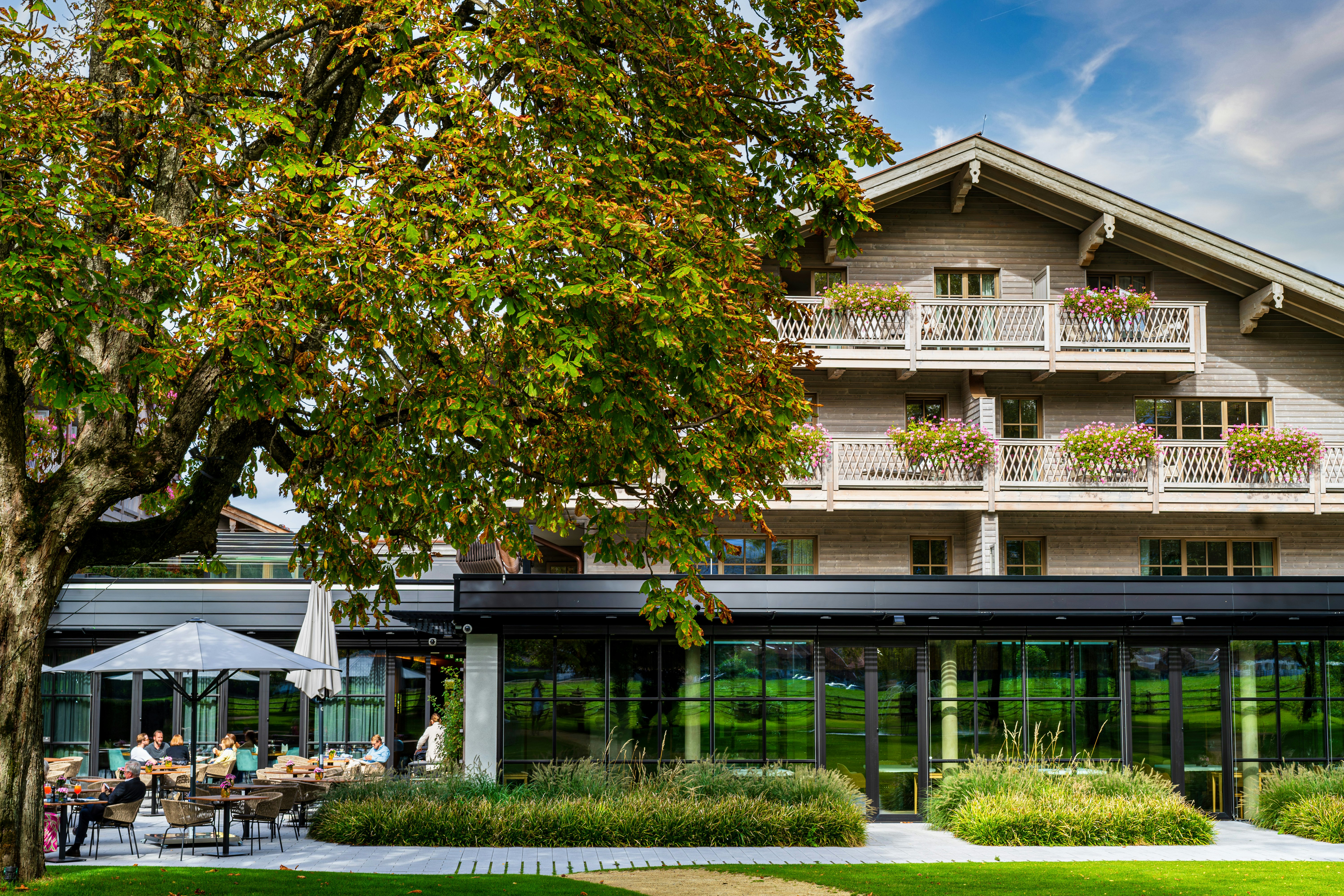 View from the Park in Autumn