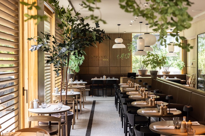 Spring Cafe Brasserie