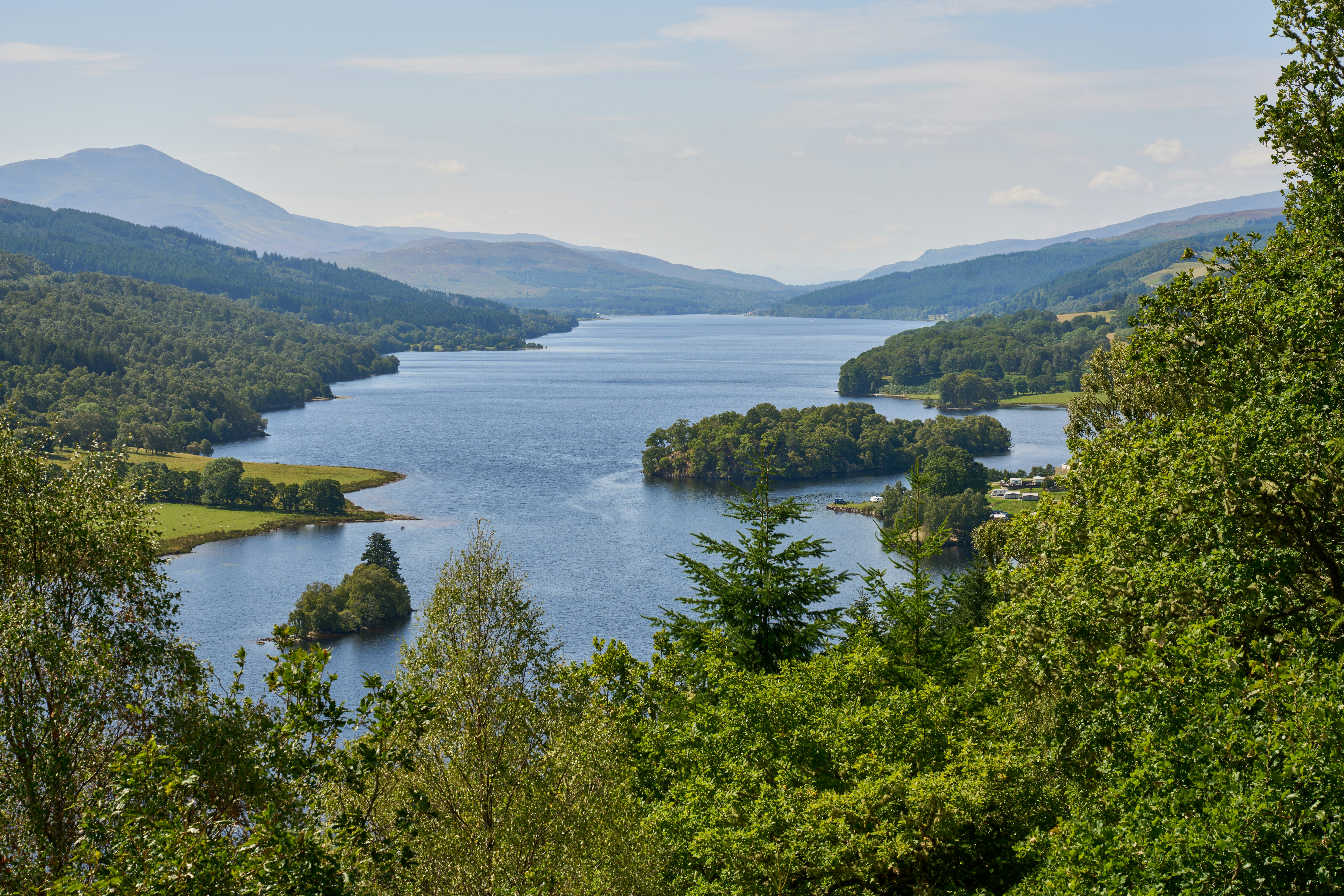 Pine Trees Location Loch