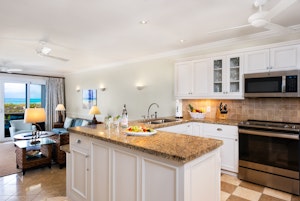 Luxury One Bedroom Kitchen