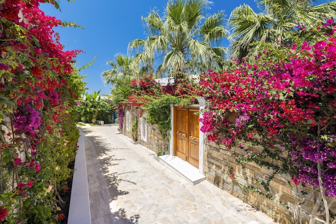 One Royal Spa Villa - Entrance