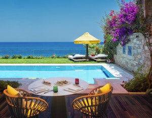 Deluxe Spa Villa - Terrace & Pool