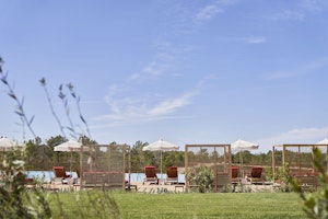 Outdoor Pool & Gardens