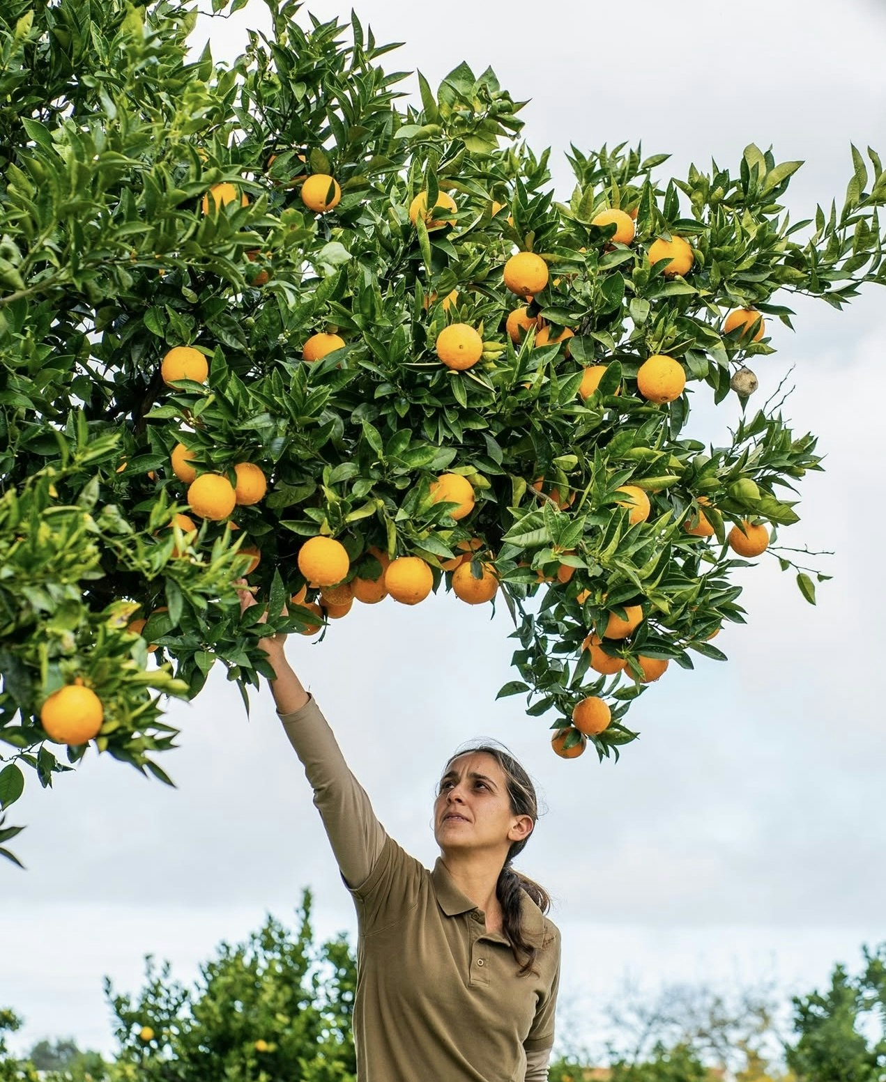 Inari Restaurant - Garden