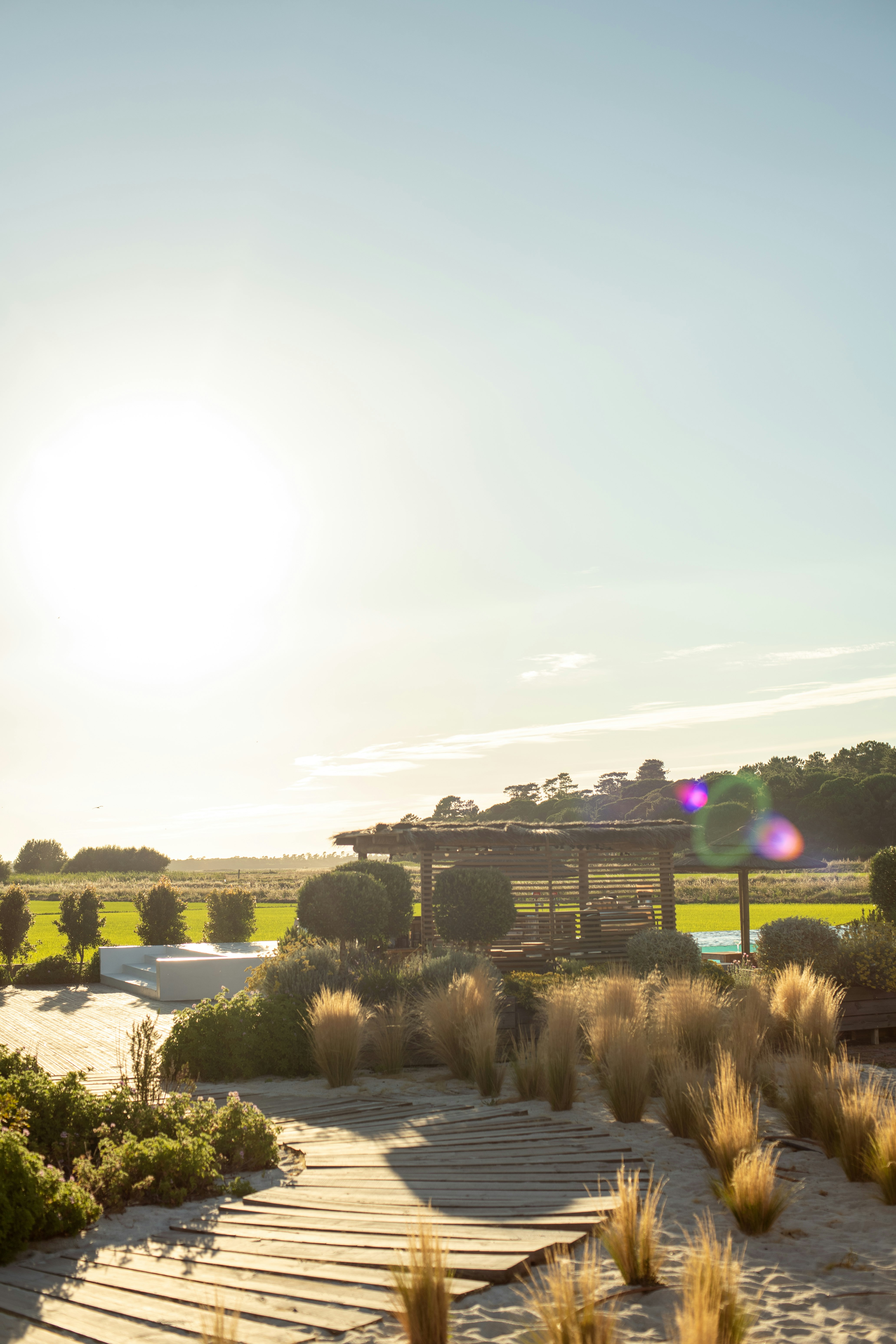 Eira Room - Outdoor Pathway