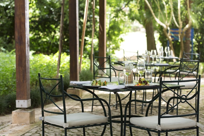 Restaurant Terrace