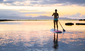 Standup Paddle Board