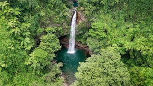 Taveuni Island Tavoro Falls (Bouma)