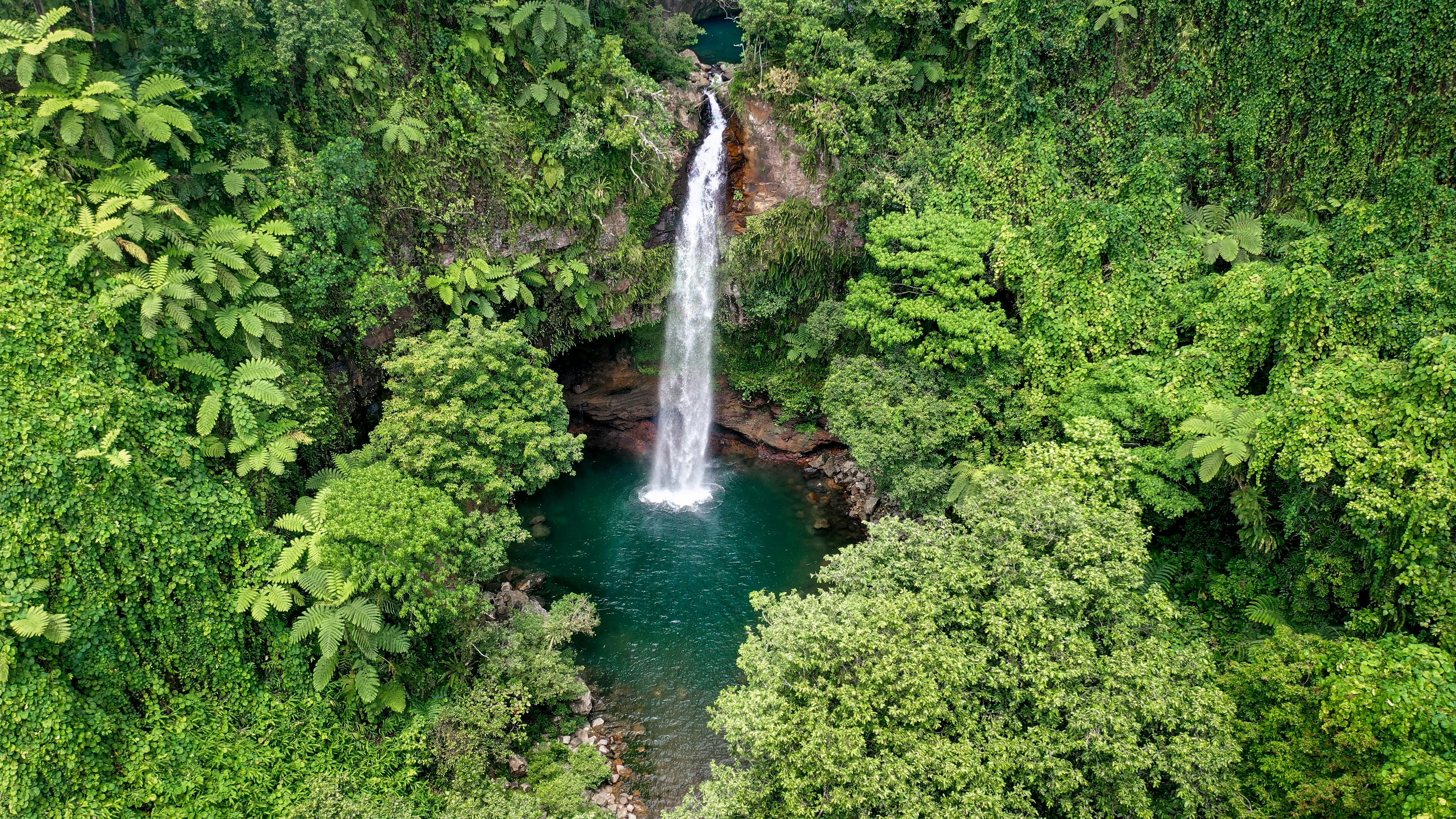 Taveuni Island Tavoro Falls (Bouma)