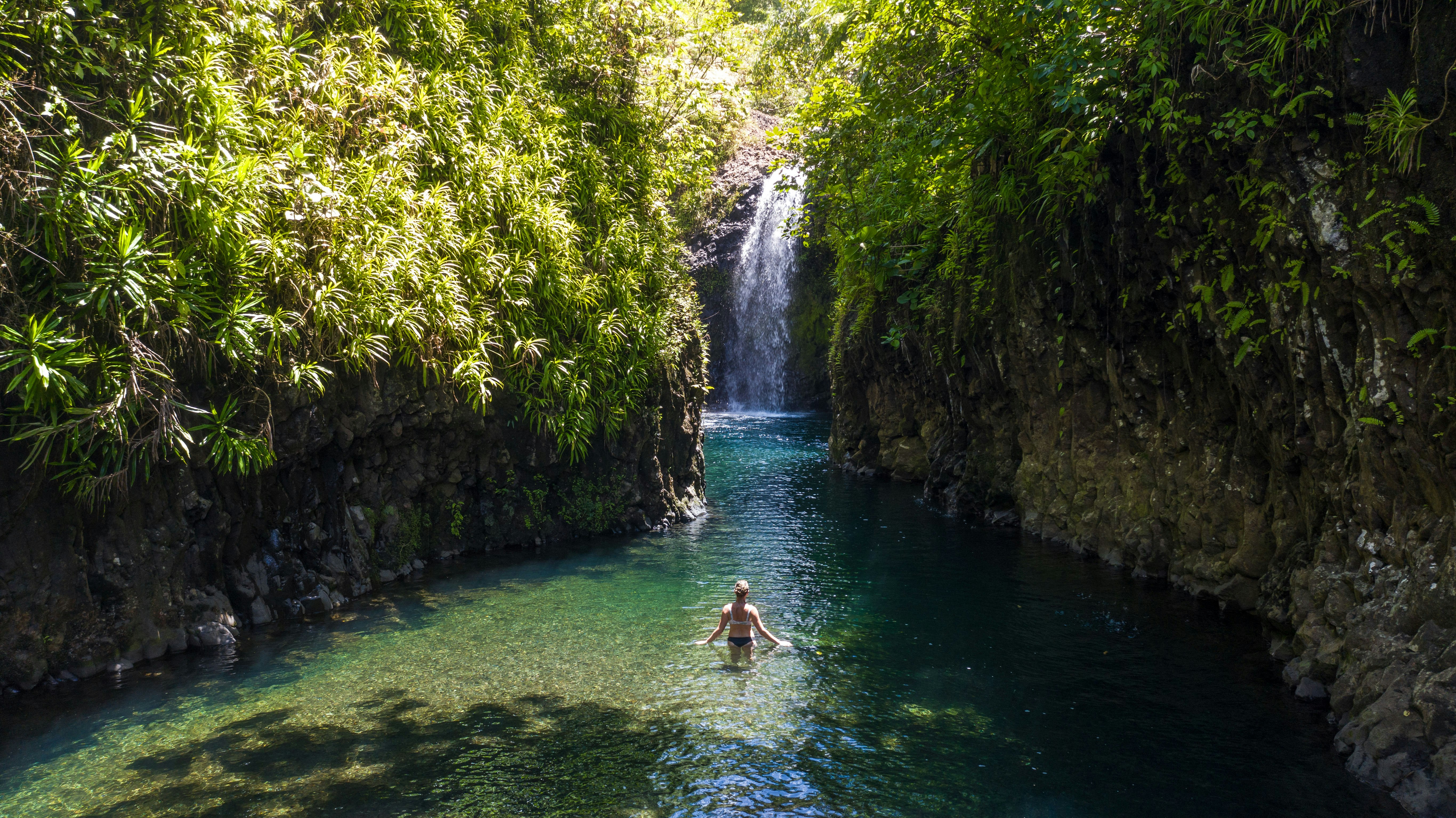 Lavena Coastal Walk and Falls
