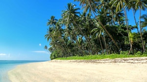 Beach Lavena Coastal Walk