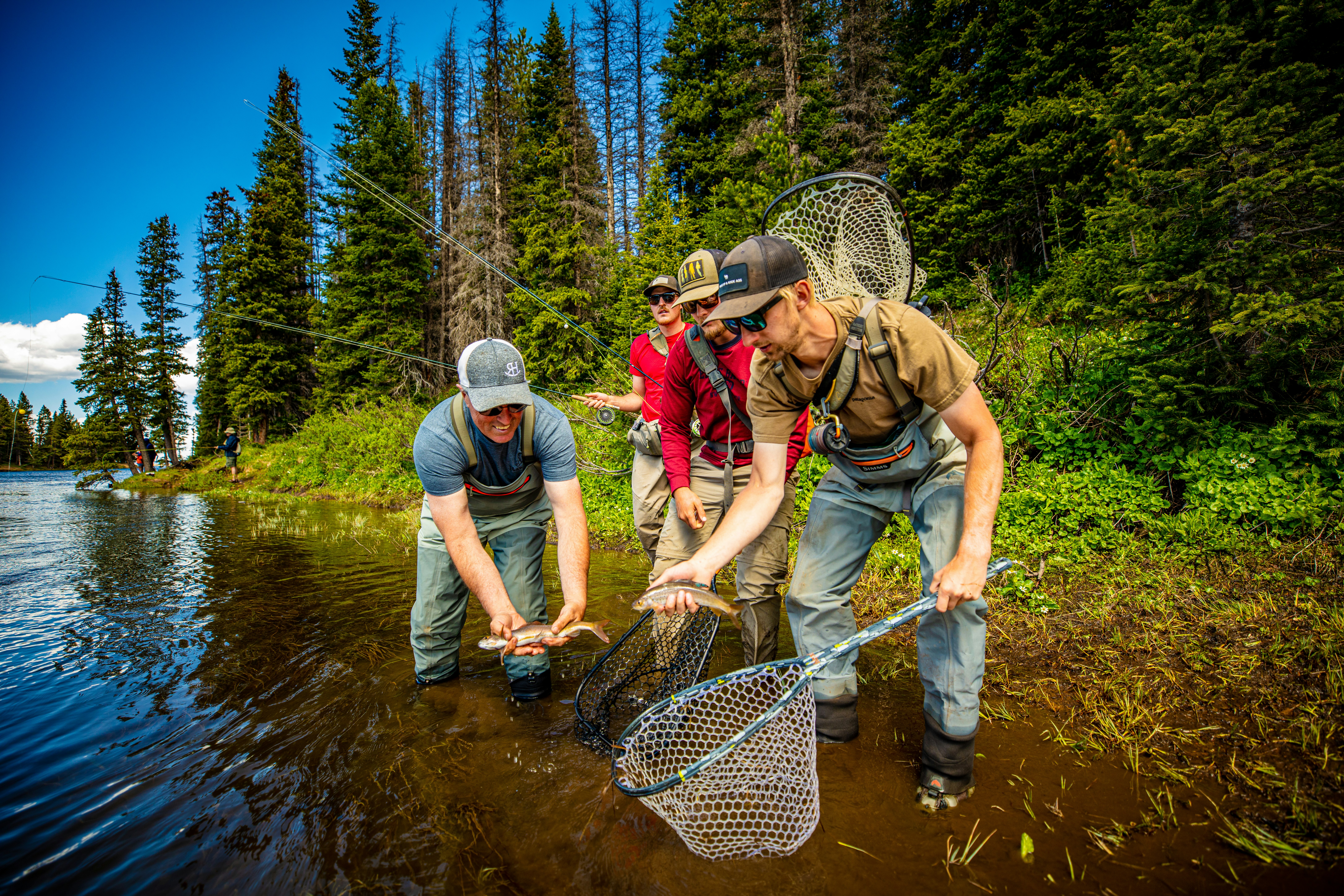 Grayling Trout Fishing