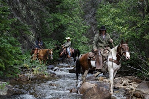 Trail Riding