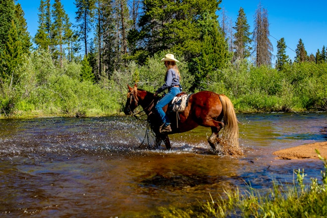 Horse Trail Riding - Laramie River