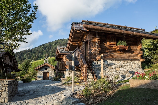 Summer Exterior View