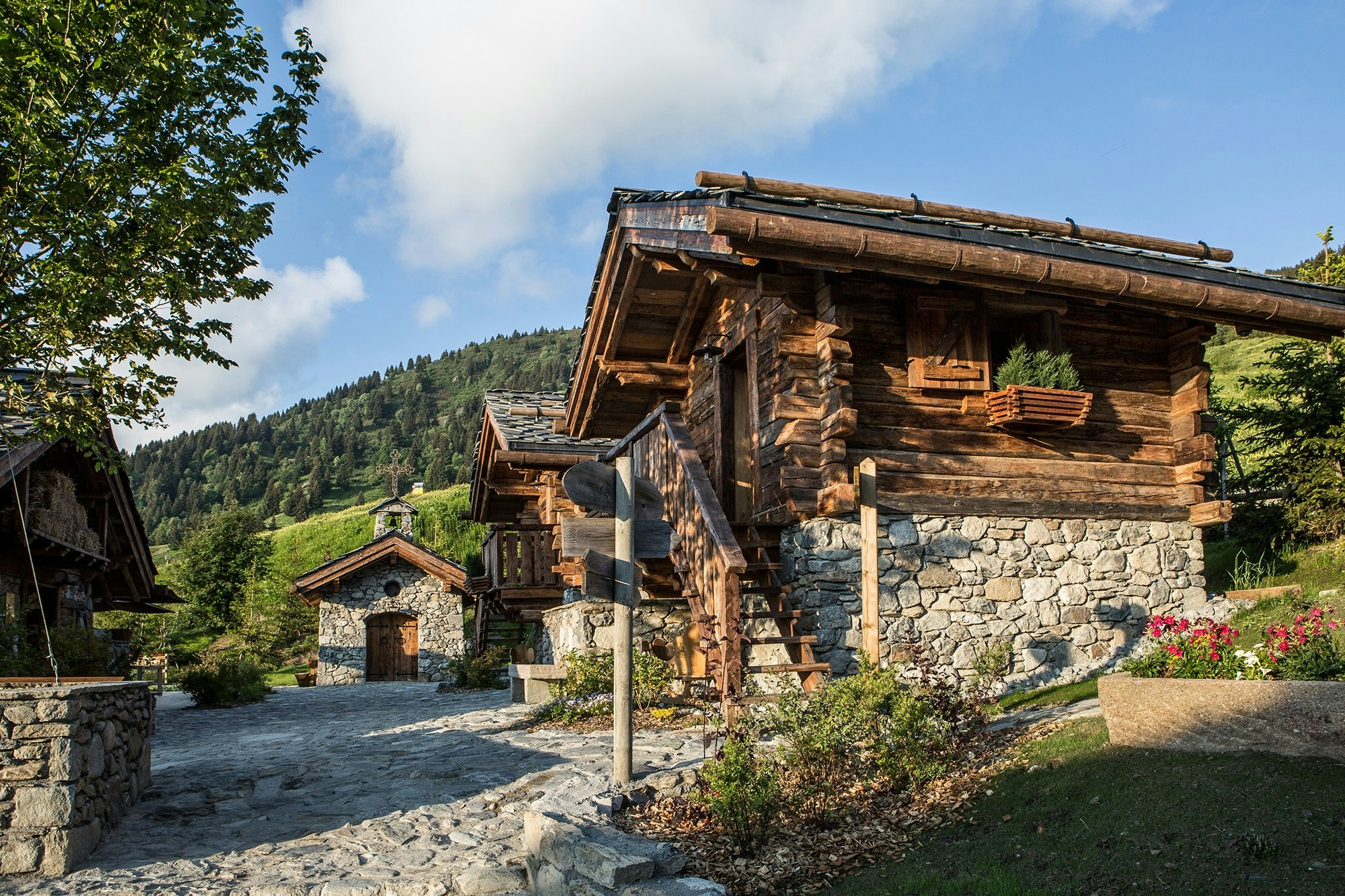 Summer Exterior View