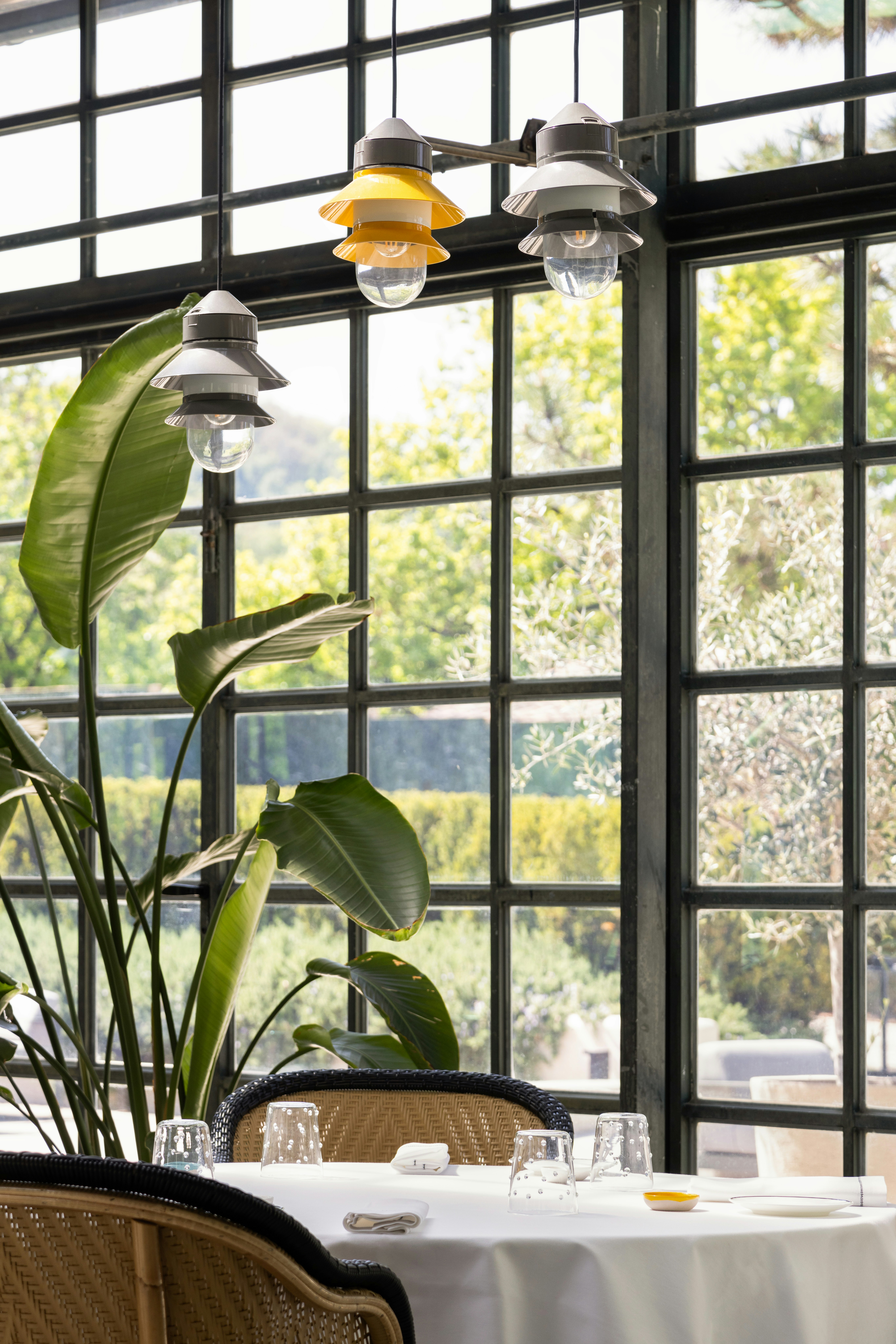 Limonaia Restaurant Detail