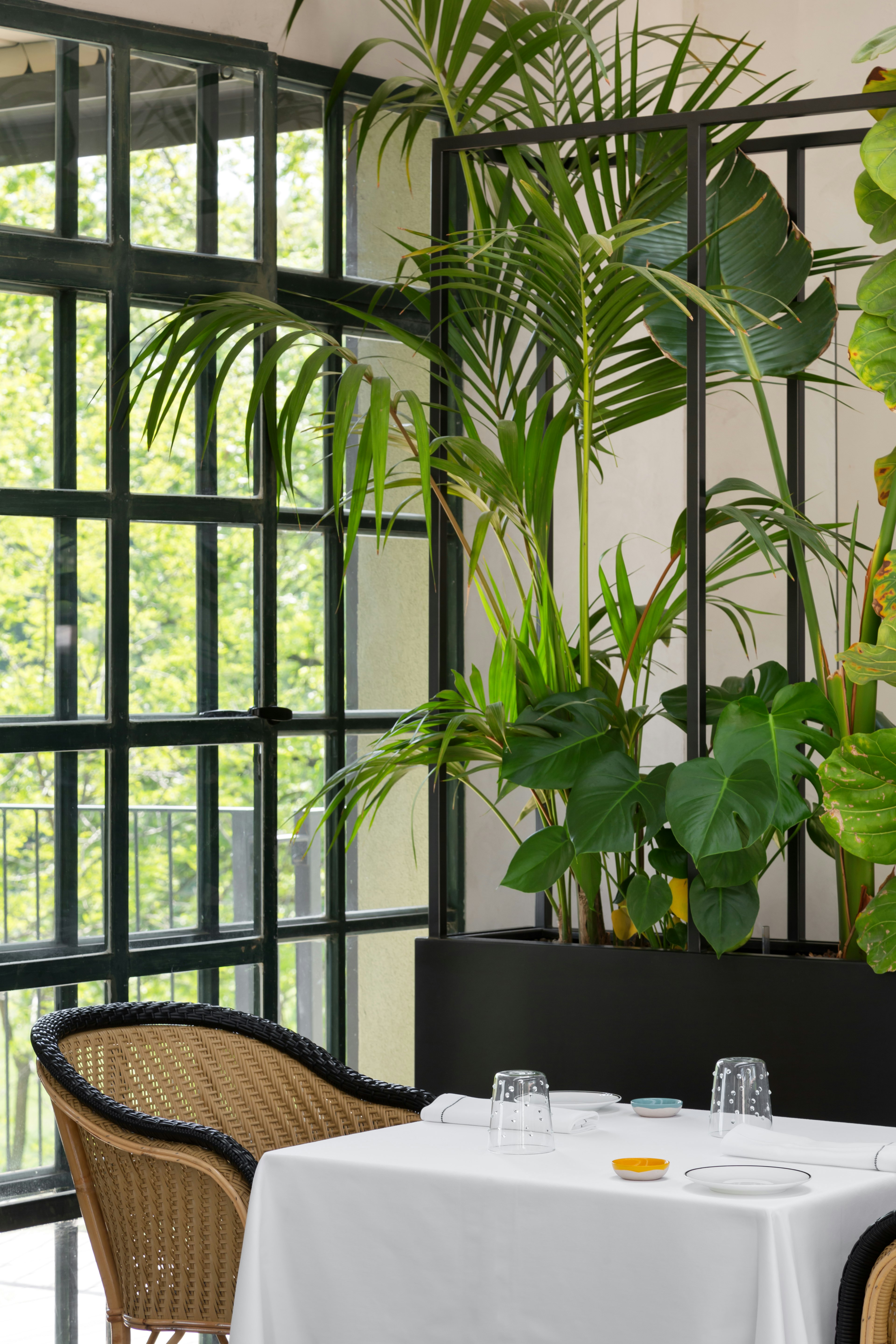 Limonaia Restaurant Detail