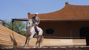 Reschio Estate - Equestrian Centre
