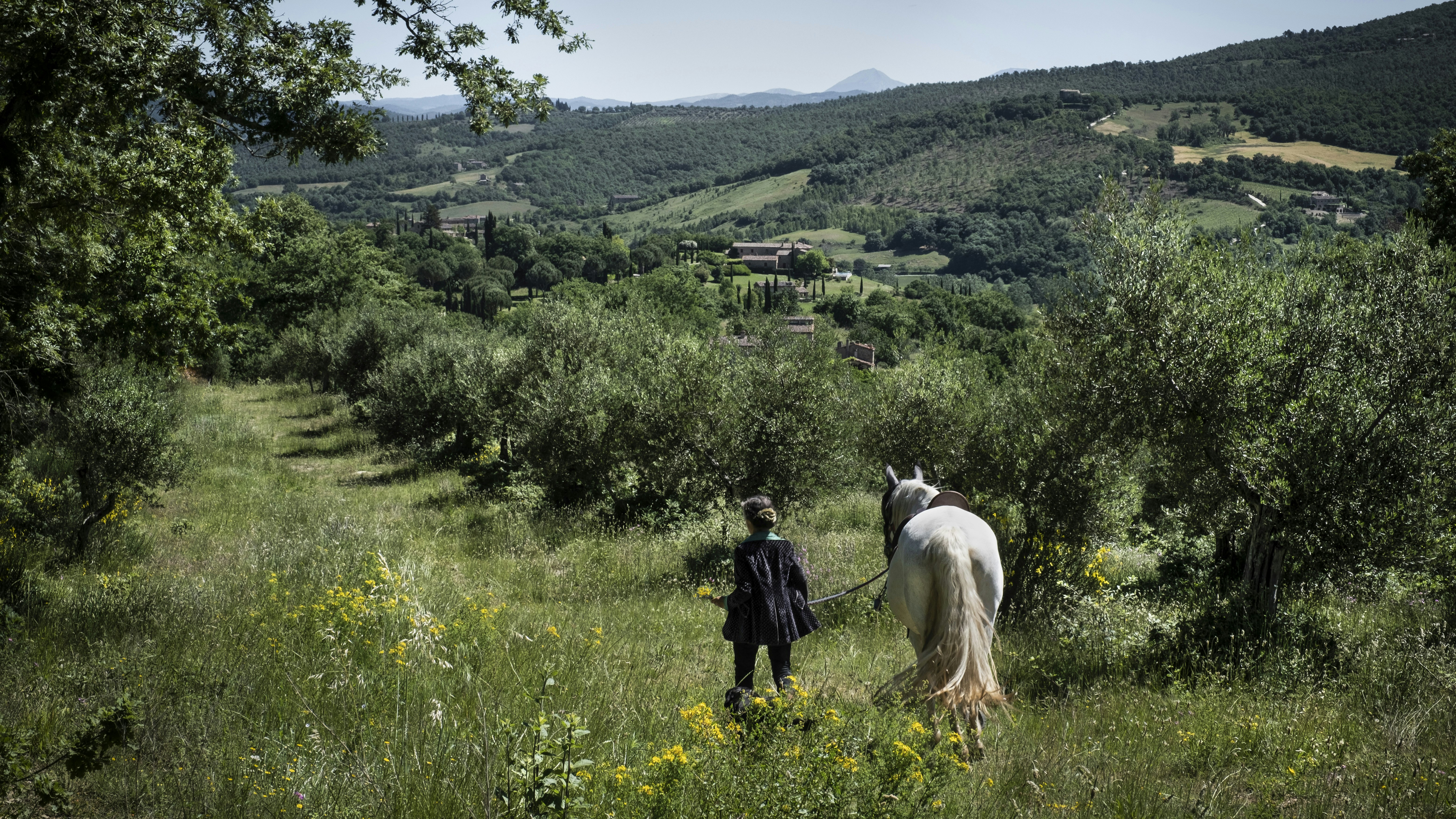 Reschio Estate Things To Do - Wild Hacks & Foraging