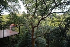 Yoga Platform