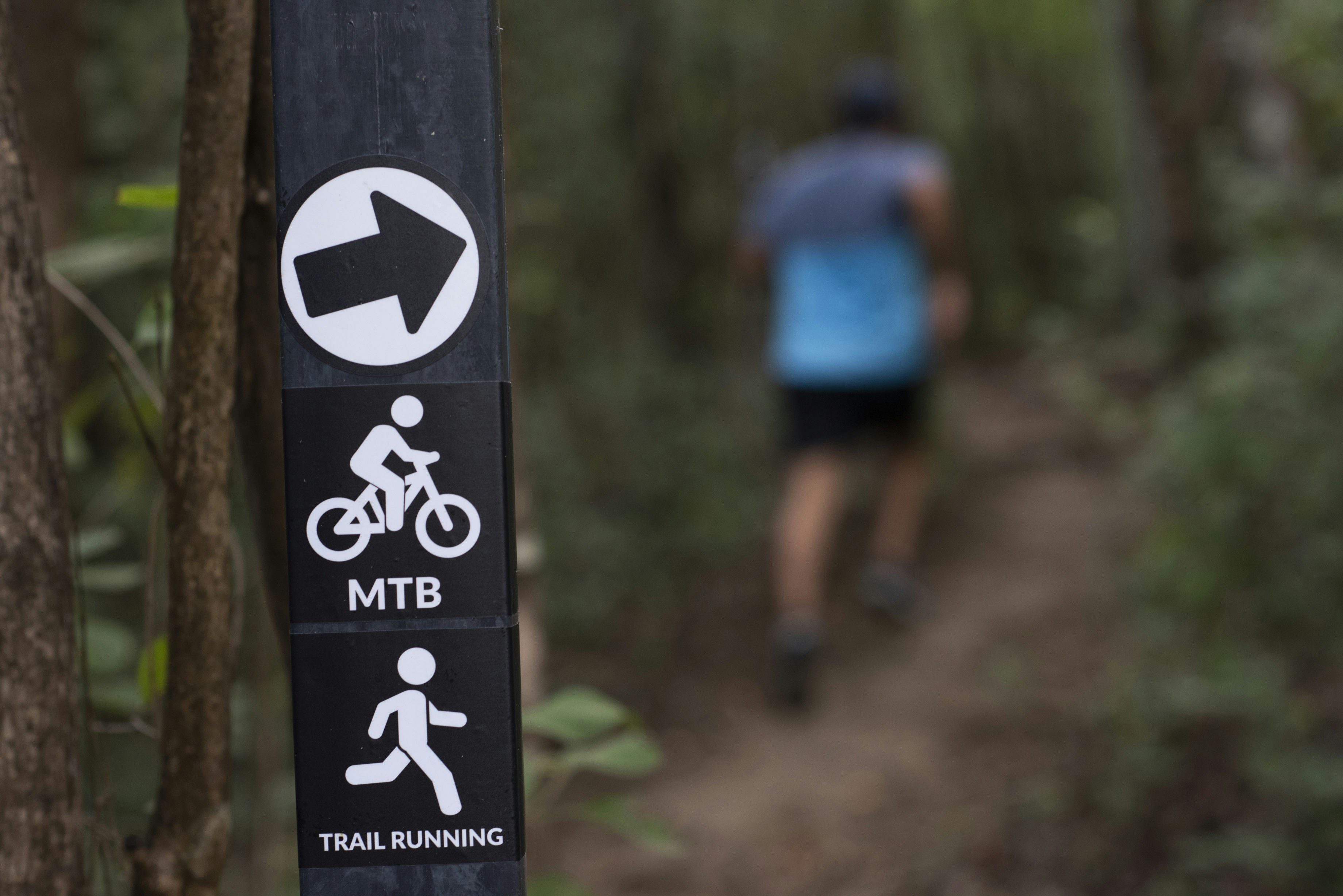 Mountain Biking & Trail Running