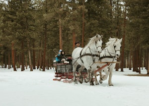 Winter Sleigh Ride