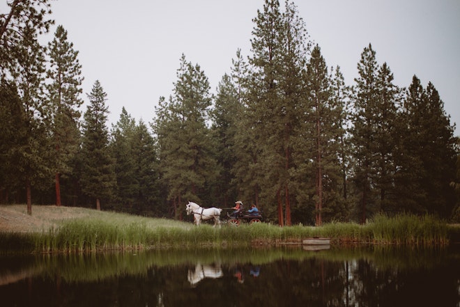 Evening horse-drawn carriage ride