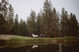 Evening horse-drawn carriage ride