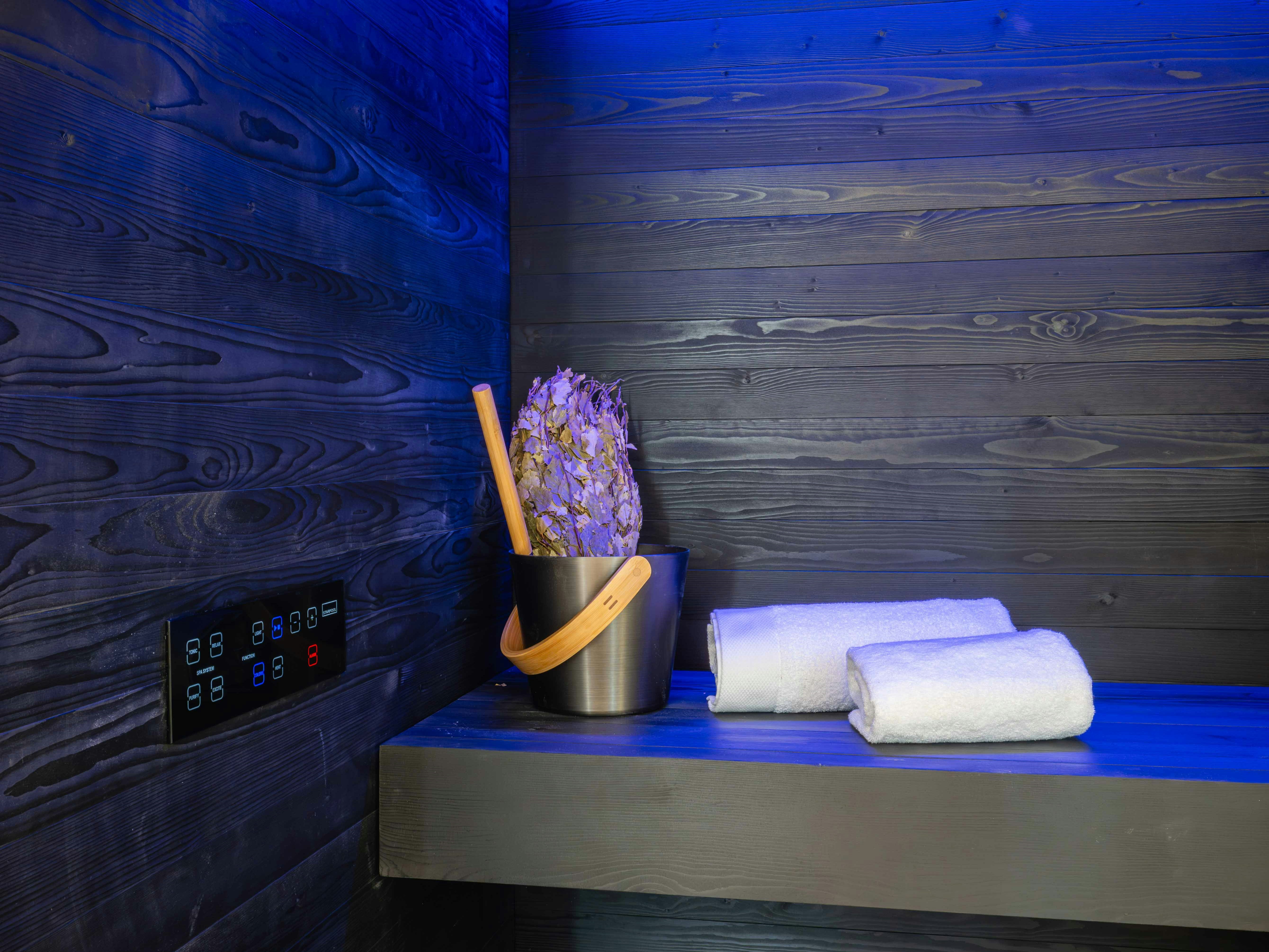 Premier Wellness Suite - Sauna