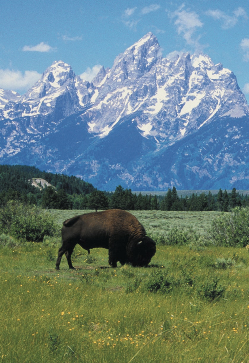 Nearby Grand Teton National Park
