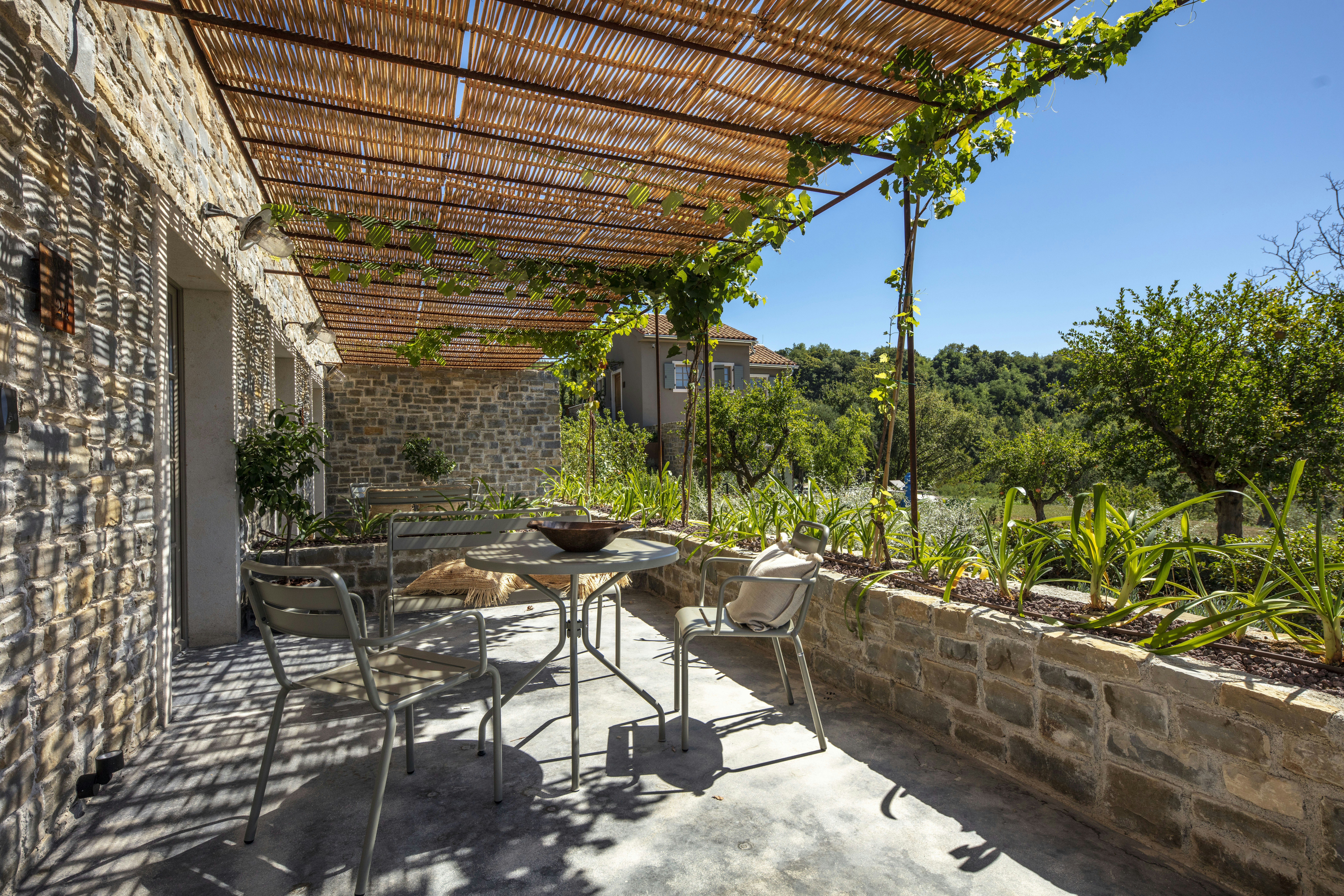 Executive Room - Terrace