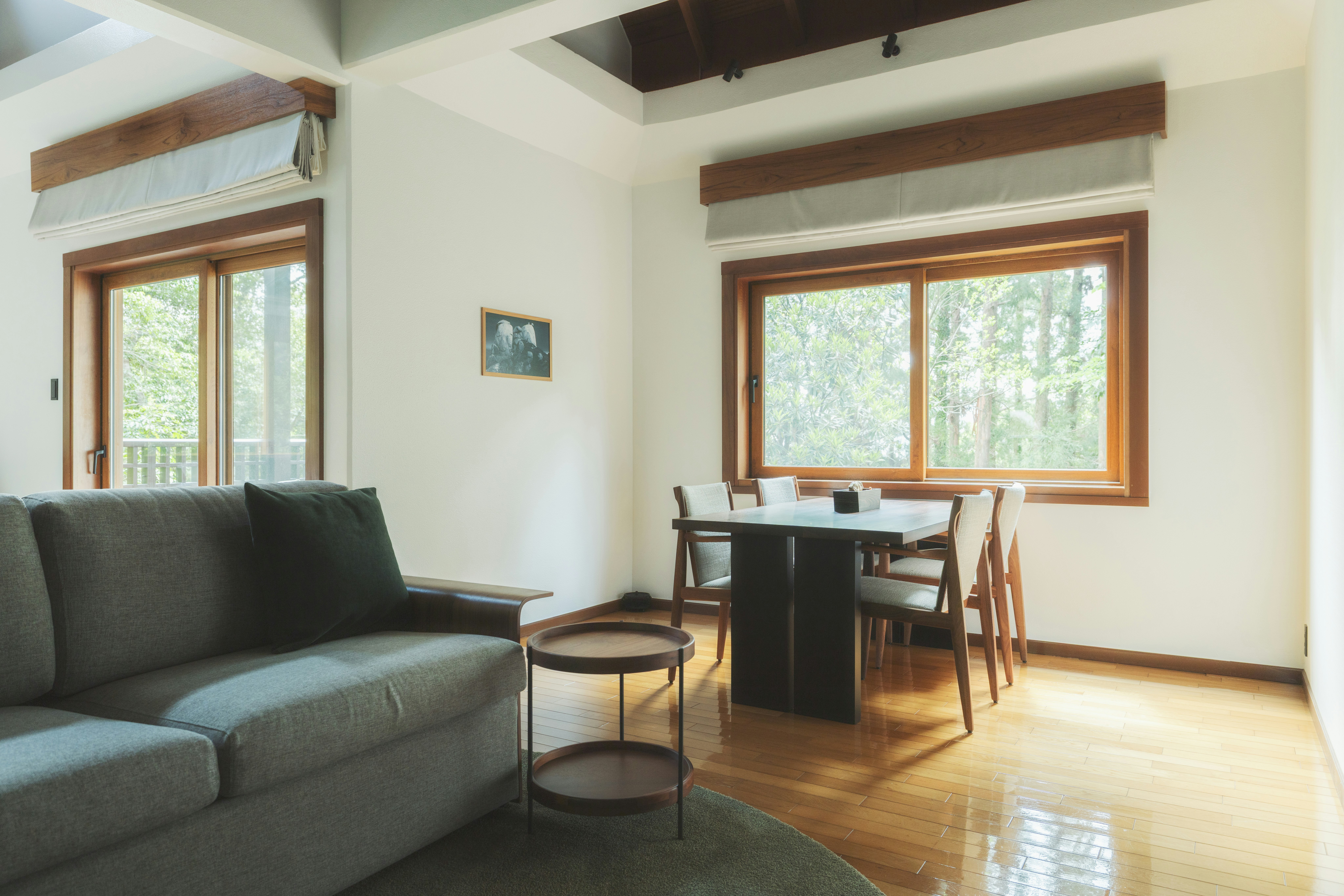 Manasa Villa - Living Area