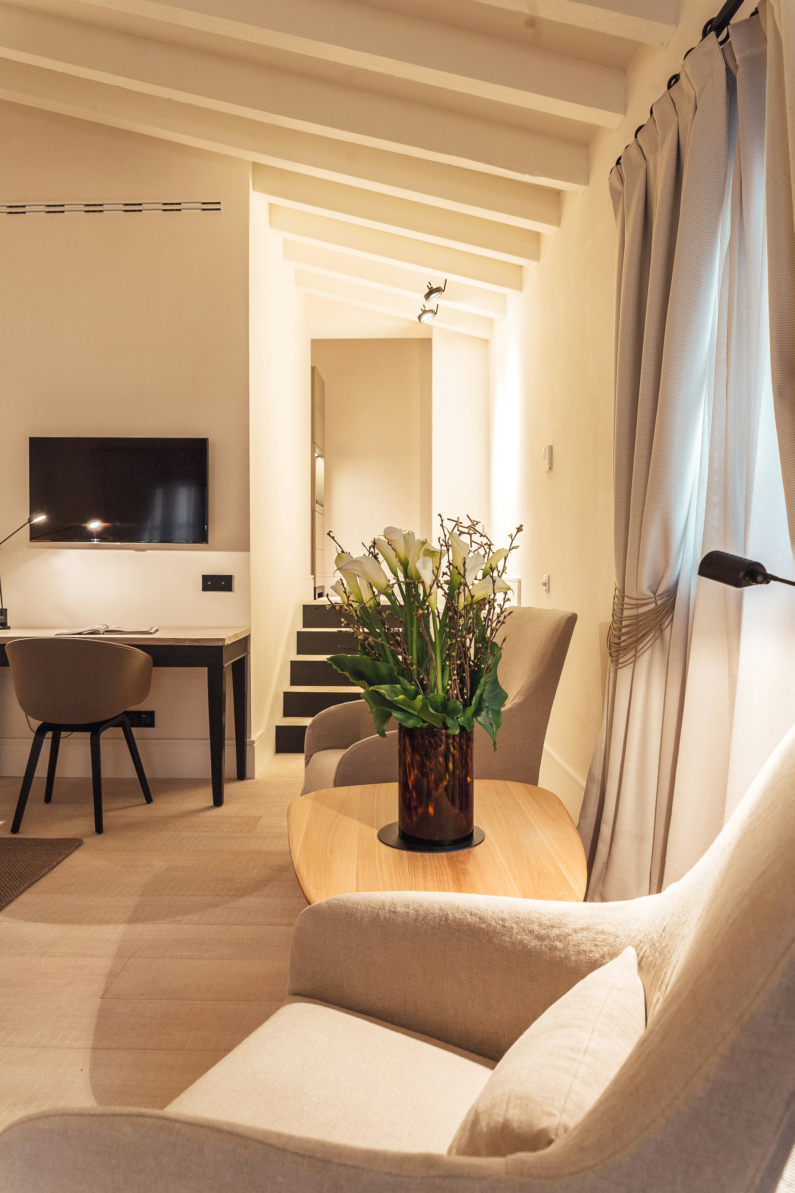 Singular Junior Suite