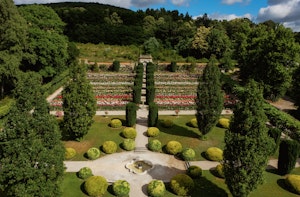 Rose Garden