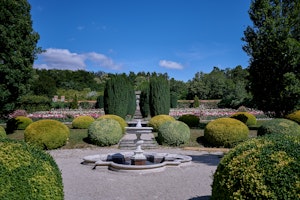 Rose Garden