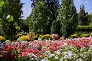 Rose Garden